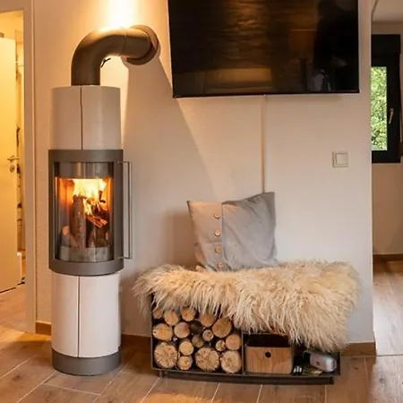 Ferienhaus Modern Birch At Ruppberg Zella-Mehlis