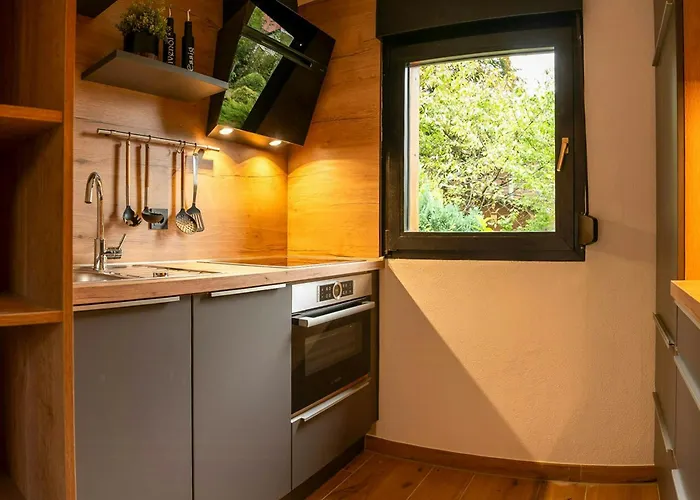 Modern Birch At Ruppberg