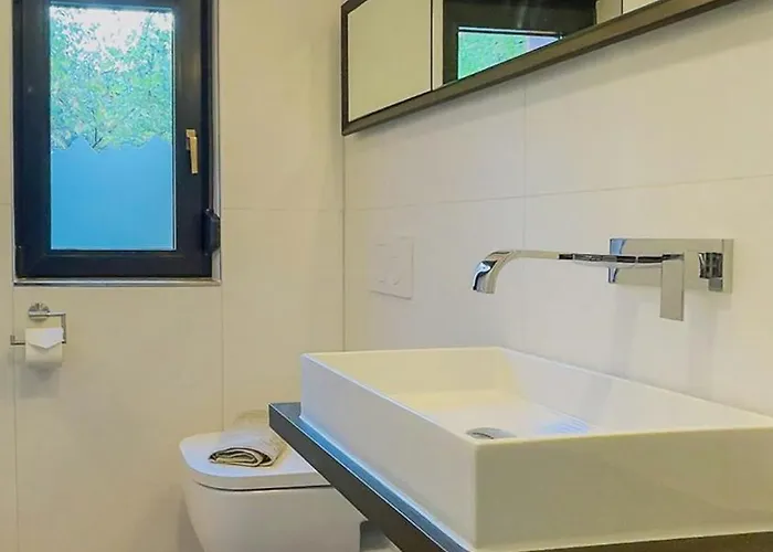 Modern Birch At Ruppberg