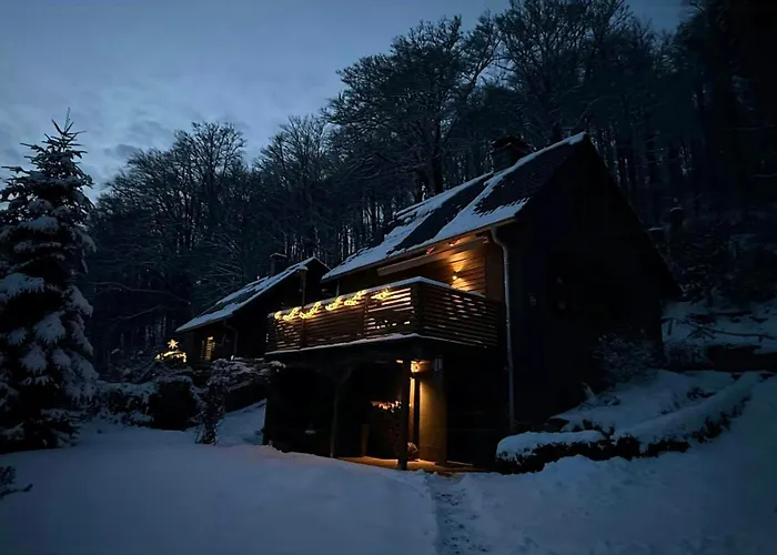 Ferienhaus Modern Birch At Ruppberg