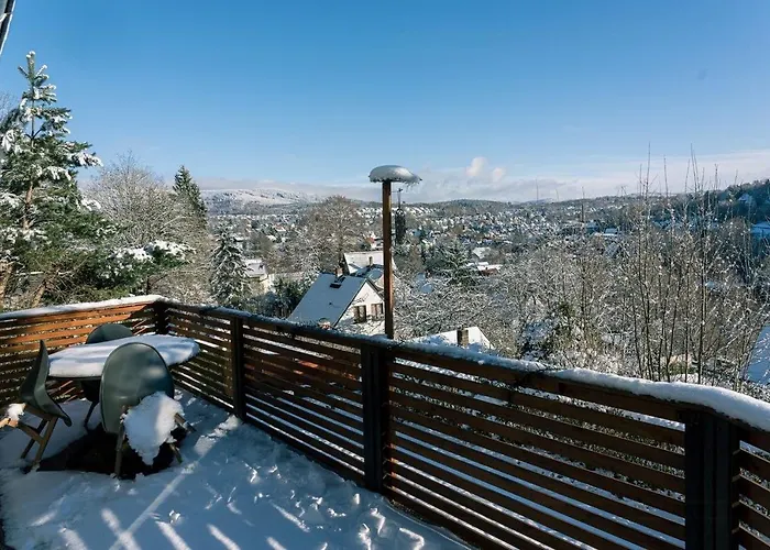 Ferienhaus Modern Birch At Ruppberg